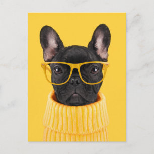 Kutest Baby Animals Franse Bulldog Sunbril Briefkaart