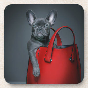 Kutest Baby Animals Franse hond in handtas Bier Onderzetter