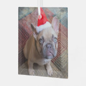 Kutest Baby Animals | Franse kerstfeestdag Glas Ornament (Voorkant links)