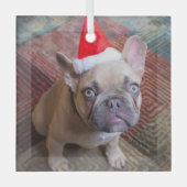 Kutest Baby Animals | Franse kerstfeestdag Glas Ornament (Voorkant)