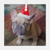 Kutest Baby Animals | Franse kerstfeestdag Glas Ornament (Achterkant)