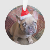 Kutest Baby Animals | Franse kerstfeestdag Ornament (voorkant)