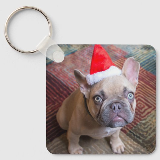 Kutest Baby Animals | Franse kerstfeestdag Sleutelhanger (Voorkant)