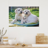 Kutest Baby Animals | Gele labrador Retrievers Poster (Keuken)