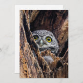 Kutest Baby Animals | Gepotte eigenaar Bedankkaart (Voorkant / Achterkant)