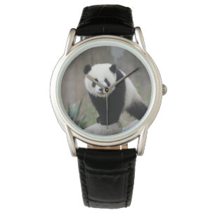 Kutest Baby Animals   Giant Panda Baby Horloge