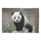 Kutest Baby Animals | Giant Panda Baby Kussensloop (Achterkant)