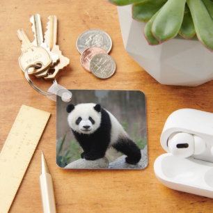 Kutest Baby Animals Giant Panda Baby Sleutelhanger