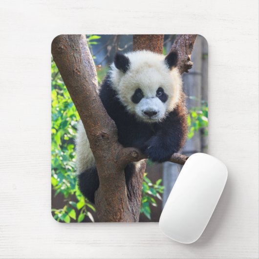 Kutest Baby Animals | Giant Panda Cub Muismat (Met muis)