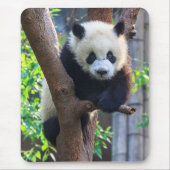 Kutest Baby Animals | Giant Panda Cub Muismat (Voorkant)