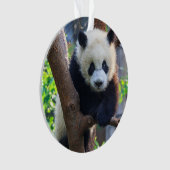 Kutest Baby Animals | Giant Panda Cub Ornament (voorkant)