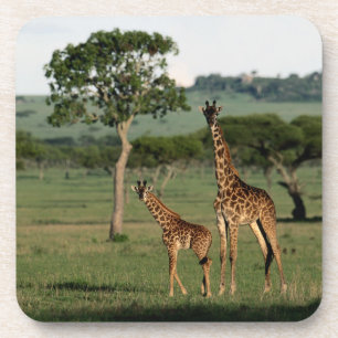 Kutest Baby Animals Giraffe Calf & Mama Bier Onderzetter