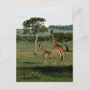 Kutest Baby Animals Giraffe Calf & Mama Briefkaart