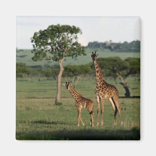 Kutest Baby Animals | Giraffe Calf & Mama Magneet (Voorkant)