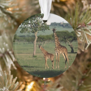 Kutest Baby Animals Giraffe Calf & Mama Ornament