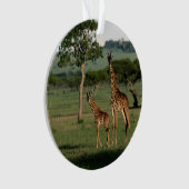 Kutest Baby Animals | Giraffe Calf & Mama Ornament (voorkant)