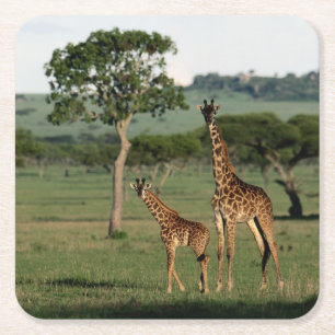 Kutest Baby Animals Giraffe Calf & Mama Vierkante Kartonnen Onderzetter