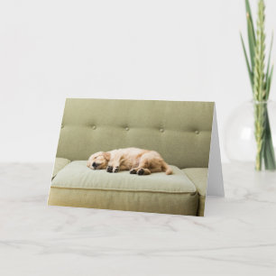 Kutest Baby Animals   Golden Retriever Puppy 2 Kaart