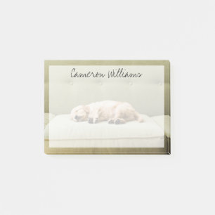 Kutest Baby Animals Golden Retriever Puppy 2 Post-it® Notes