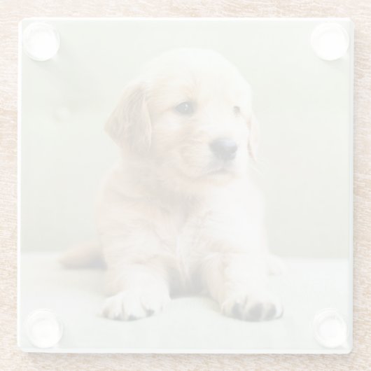 Kutest Baby Animals | Golden Retriever Puppy Glazen Onderzetter (Achterkant)