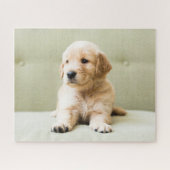 Kutest Baby Animals | Golden Retriever Puppy Legpuzzel (Horizontaal)
