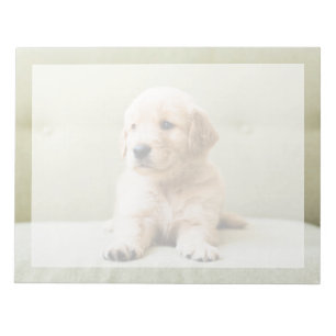 Kutest Baby Animals   Golden Retriever Puppy Notitieblok