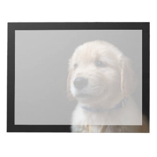 Kutest Baby Animals   Golden Retriever Puppy Notitieblok