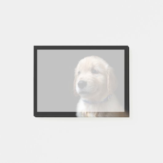 Kutest Baby Animals | Golden Retriever Puppy Post-it® Notes (Voorkant)