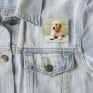 Kutest Baby Animals   Golden Retriever Puppy Vierkante Button 5,1 Cm