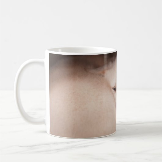 Kutest Baby Animals | Golden Retriever Snuggle Koffiemok (Links)