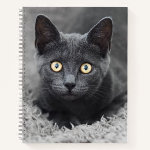 Kutest Baby Animals Grijze katten Notitieboek