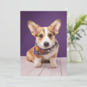 Kutest Baby Animals | Halloween Corgi Bedankkaart (Staand voorkant)