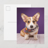 Kutest Baby Animals | Halloween Corgi Briefkaart (Voorkant / Achterkant)