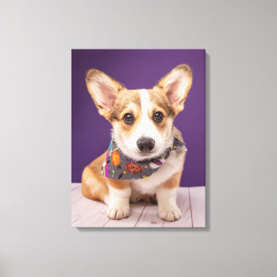 Kutest Baby Animals Halloween Corgi Canvas Afdruk