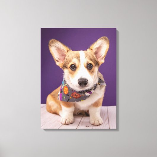 Kutest Baby Animals | Halloween Corgi Canvas Afdruk (Voorkant)