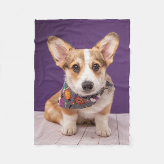 Kutest Baby Animals | Halloween Corgi Fleece Deken (Voorkant)