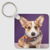 Kutest Baby Animals | Halloween Corgi Sleutelhanger (Voorkant)