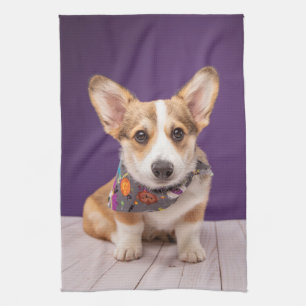 Kutest Baby Animals Halloween Corgi Theedoek