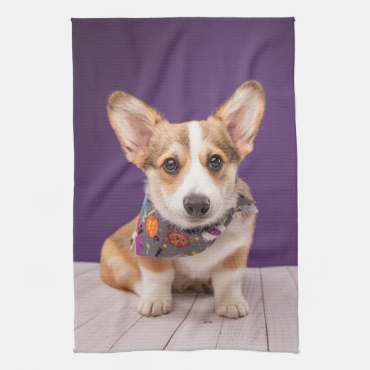 Kutest Baby Animals | Halloween Corgi Theedoek (Verticaal)