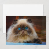 Kutest Baby Animals | Himalayan Cat Bedankkaart (Voorkant / Achterkant)