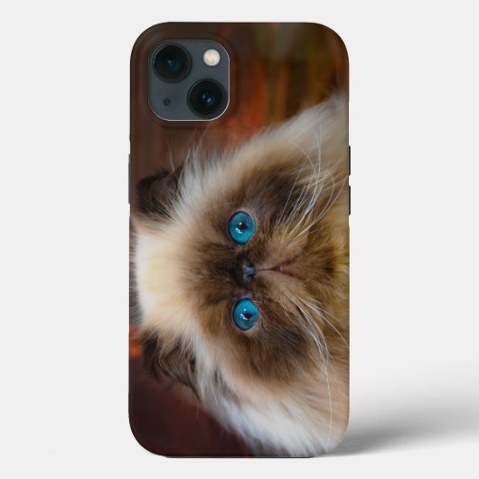 Kutest Baby Animals | Himalayan Cat Case-Mate iPhone Case (Achterkant)