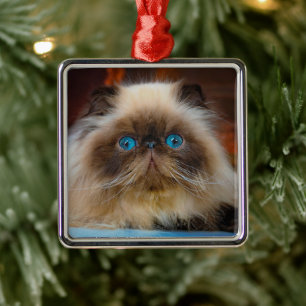 Kutest Baby Animals Himalayan Cat Metalen Ornament