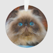 Kutest Baby Animals | Himalayan Cat Ornament (voorkant)