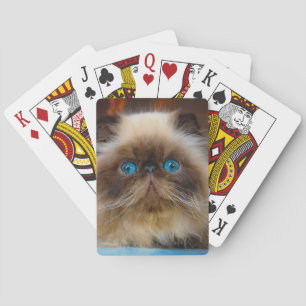Kutest Baby Animals Himalayan Cat Pokerkaarten