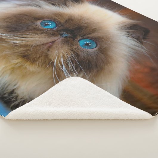 Kutest Baby Animals | Himalayan Cat Sherpa Deken (3/4)