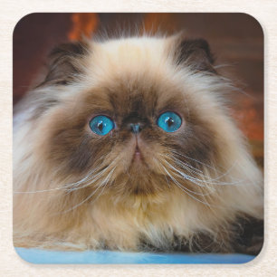 Kutest Baby Animals Himalayan Cat Vierkante Kartonnen Onderzetter