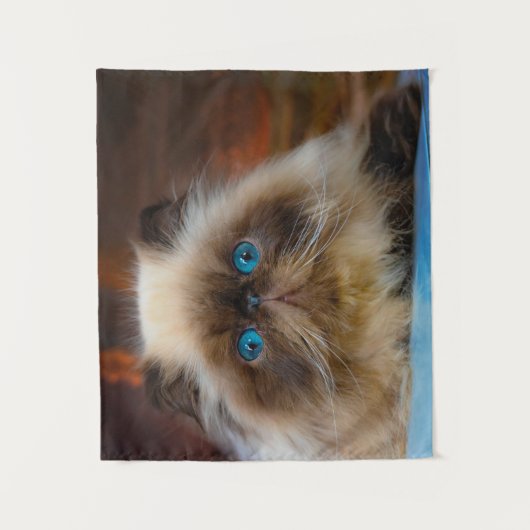 Kutest Baby Animals | Himalayan Cat Wandkleed (Voorkant)