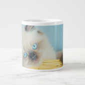 Kutest Baby Animals | Himalayan Seal Point Cat Extra Grote Beker (Voorkant)