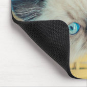 Kutest Baby Animals | Himalayan Seal Point Cat Muismat (Hoek)