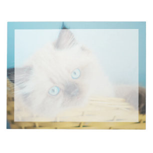 Kutest Baby Animals Himalayan Seal Point Cat Notitieblok